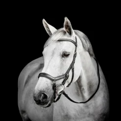 Discount - Bridon Micklem Diamante Competition Bridons