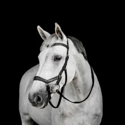 Bridons*Horseware - Bridon Micklem Deluxe Competition Noir