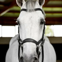 Bridons*Horseware - Bridon Micklem Deluxe Competition Noir