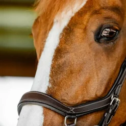 Bridons*Horseware - Bridon Micklem Competition dark havane Marron