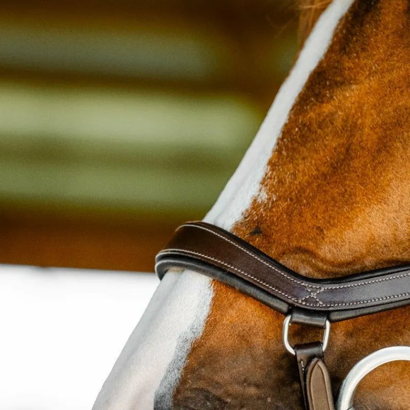 Bridons*Horseware - Bridon Micklem Competition dark havane Marron