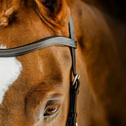 Bridons*Horseware - Bridon Micklem Competition dark havane Marron