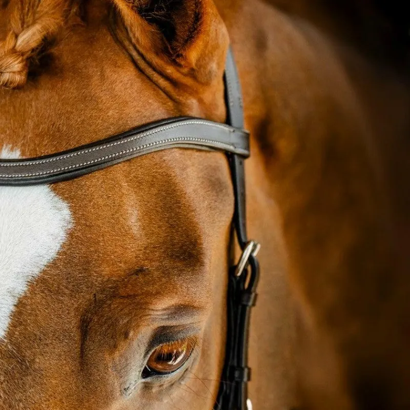 Bridons*Horseware - Bridon Micklem Competition dark havane Marron