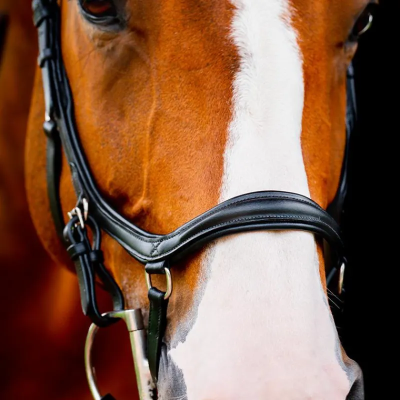 Online - Bridon Rambo Micklem 2 Diamante Competition Bridons Poneys|Bridons