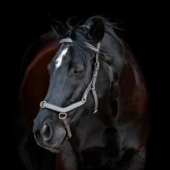 Cso|Sidepull*Horseware - Bridon Rambo Micklem multibride Noir