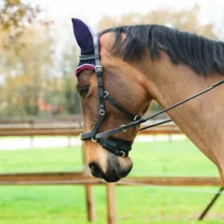 Cso|Sidepull*Horseware - Bridon Rambo Micklem multibride Noir