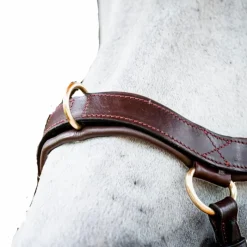 Clearance - Bridon Rambo Micklem 2.0 multibride Bridons Poneys|Bridons