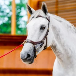 Clearance - Bridon Rambo Micklem 2.0 multibride Bridons Poneys|Bridons