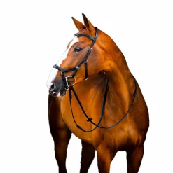 Outlet - Bridon Rambo Micklem 2 Deluxe Competition Bridons Poneys|Bridons