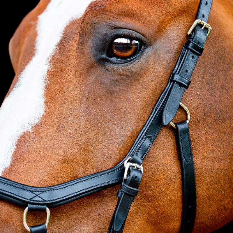 Outlet - Bridon Rambo Micklem 2 Deluxe Competition Bridons Poneys|Bridons