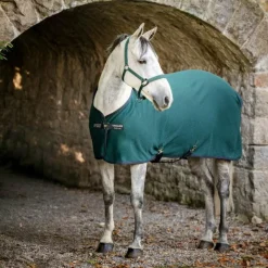 Couvertures Poneys|Couvertures Et Chemises*Horseware - Chemise séchante Amigo Jersey Pony dynasty green/ marine/ argent Vert