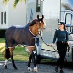 Sale - Chemise séchante Amigo Net Cooler / titanium grey/ argent Couvertures Et Chemises