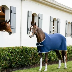 Couvertures Poneys|Couvertures Et Chemises*Horseware - Chemise séchante Amigo Jersey Pony / titanium grey/ argent Marine