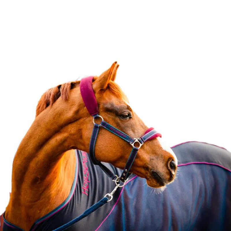 Hot - Chemise séchante Rambo Sport Cooler / bordeaux Couvertures Poneys|Couvertures Et Chemises