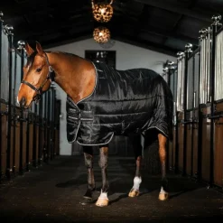 Couvertures Et Chemises*Horseware - Couverture de box Easy-Layer Stable Plus / / silver 400g Noir