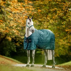 Couvertures Et Chemises*Horseware - Couure de box Amigo Ripstop Insulator dynasty green/ marine/ argent 350g Vert