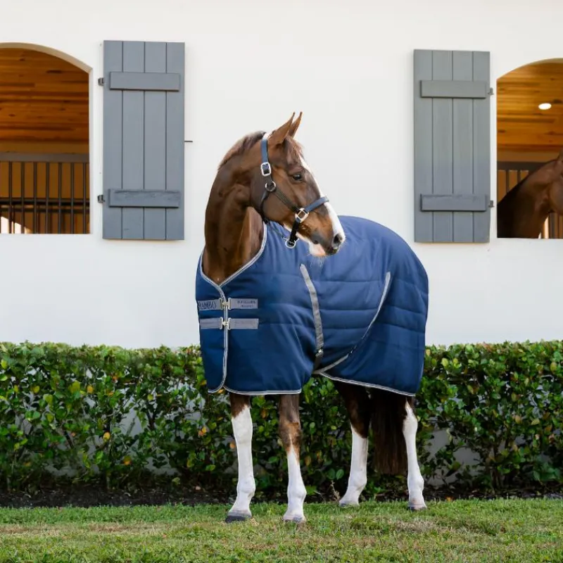 Couvertures Et Chemises*Horseware - Couverture de box Rambo Stable / thunderstorm grey/ argent 100g Marine