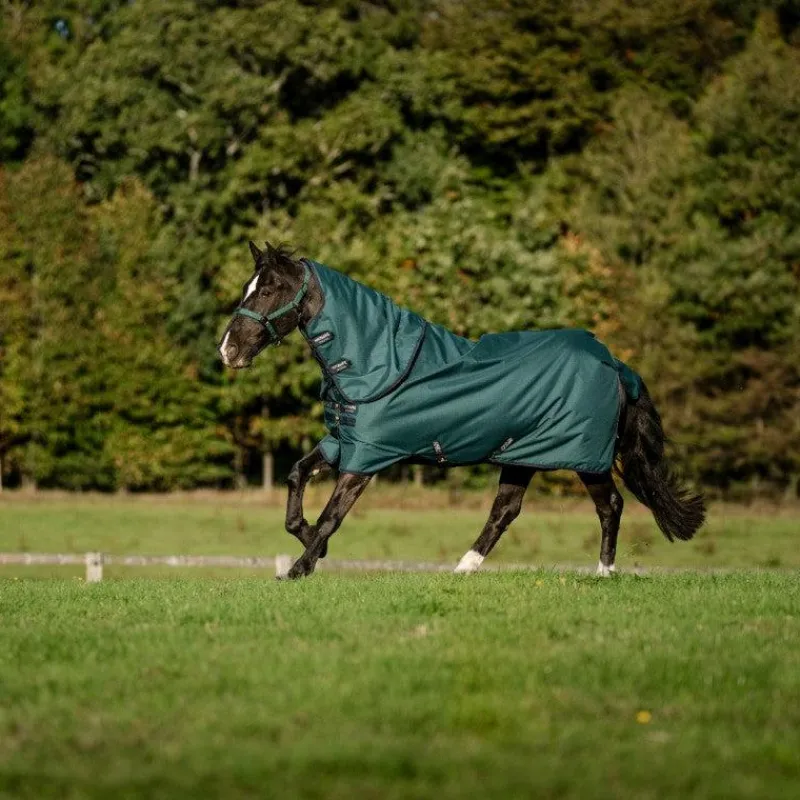 Couvertures Poneys|Couvertures Et Chemises*Horseware - Couure d'extérieur Amigo Ripstop Plus Pony Turnout dynasty green/ marine/ argent 0g Vert