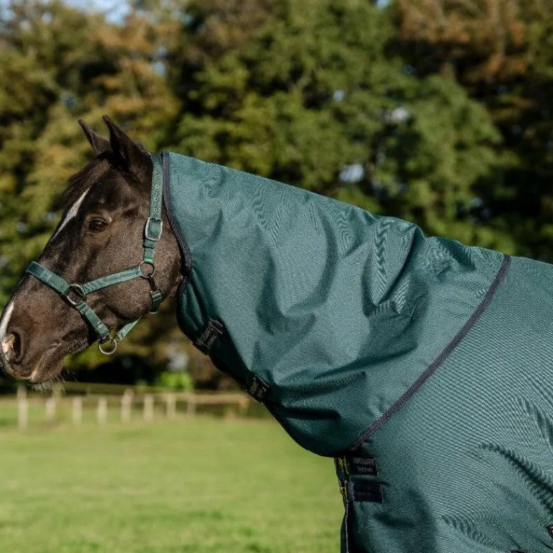 Couvertures Et Chemises*Horseware - Couure d'extérieur Amigo Ripstop Plus Turnout dynasty green/ marine/ argent 0g Vert