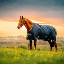 Hot - Couverture d'extérieur Amigo Ripstop Turnout doublé polaire witney navy 50g Couvertures Et Chemises