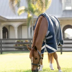 Couvertures Et Chemises*Horseware - Couverture d'extérieur Amigo Turnout / titanium grey/ argent 0g Marine