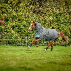 Sale - Couverture d'extérieur Amigo Hero Ripstop Plus shadow/ blue haze/ marine 200g Couvertures Poneys|Couvertures Et Chemises