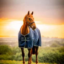 Best - Couverture d'extérieur Amigo Ripstop Pony Turnout witney navy 0g Couvertures Poneys|Couvertures Et Chemises