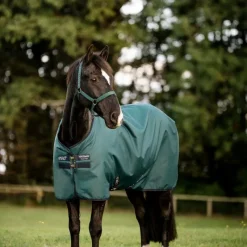Couvertures Et Chemises*Horseware - Couure d'extérieur Amigo Ripstop Turnout dynasty green/ marine/ argent 0g Vert