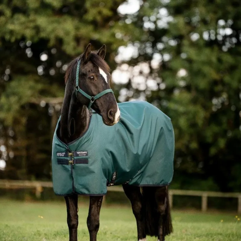 Hot - Couure d'extérieur Amigo Ripstop Pony Turnout dynasty green/ marine/ argent 0g Couvertures Poneys|Couvertures Et Chemises