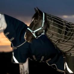 Couvertures Et Chemises*Horseware - Couverture d'extérieur Amigo FieldSafe Plus Turnout / titanium grey/ argent 250g Marine