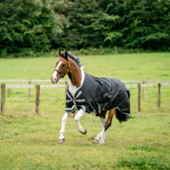 Couvertures Et Chemises*Horseware - Couverture d'extérieur Amigo Turnout / titanium grey/ argent 250g Noir