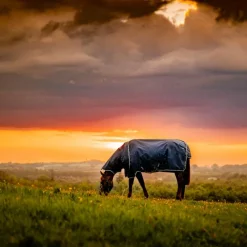 Couvertures Et Chemises*Horseware - Couverture d'extérieur Amigo Ripstop Plus Turnout witney navy 0g Bleu