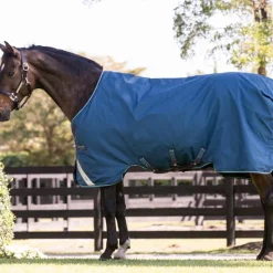 Discount - Couverture d'extérieur Rhino Turnout / gris/ aqua 100g Couvertures Et Chemises