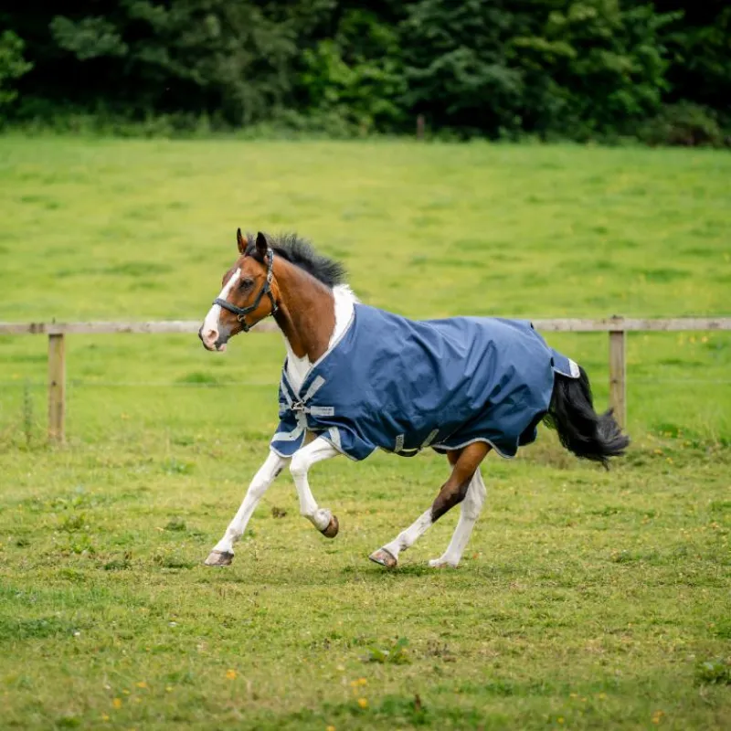 Hot - Couverture d'extérieur Amigo Bravo XL Turnout / titanium grey/ argent 50g Couvertures Et Chemises