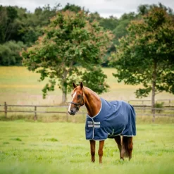 Couvertures Et Chemises*Horseware - Couverture d'extérieur Amigo Ripstop Turnout / titanium grey 200g Marine