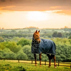Couvertures Poneys|Couvertures Et Chemises*Horseware - Couverture d'extérieur Amigo Ripstop Plus Pony Turnout witney navy 100g Bleu