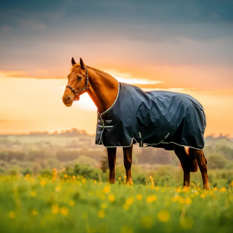 Couvertures Poneys|Couvertures Et Chemises*Horseware - Couverture d'extérieur Amigo Ripstop Pony Turnout witney navy 200g Bleu