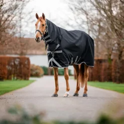 Couvertures Et Chemises*Horseware - Couverture d'extérieur Amigo Bravo Integrated Turnout / titanium grey/ argent 0g Noir