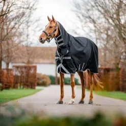 Couvertures Et Chemises*Horseware - Couverture d'extérieur Amigo Bravo Integrated Turnout / titanium grey/ argent 0g Noir