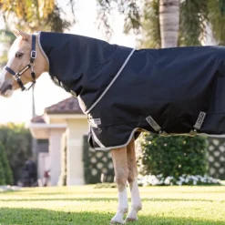 Couvertures Poneys|Couvertures Et Chemises*Horseware - Couverture d'extérieur Amigo Bravo Plus Pony Turnout / titanium grey/ argent 0g Noir