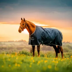 - Couverture d'extérieur Amigo Ripstop Pony Turnout witney navy 50g Couvertures Poneys|Couvertures Et Chemises