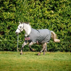 Couvertures Poneys|Couvertures Et Chemises*Horseware - Couverture d'extérieur Amigo Hero Ripstop shadow/ rose/ marine 0g Gris