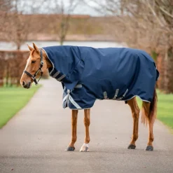 Couvertures Et Chemises*Horseware - Couverture d'extérieur Amigo Bravo Integrated Turnout / titanium grey/ argent 250g Marine