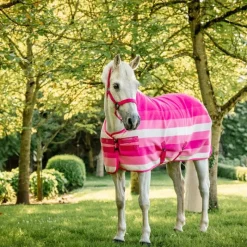 Couvertures Poneys|Couvertures Et Chemises*Horseware - Couverture polaire Newmarket Pony witney pink Rose