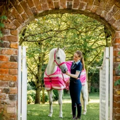 Couvertures Poneys|Couvertures Et Chemises*Horseware - Couverture polaire Newmarket Pony witney pink Rose