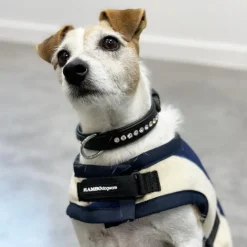 Manteaux*Horseware - Couverture pour chien Rambo Deluxe rayé / blanc 0g Bleu