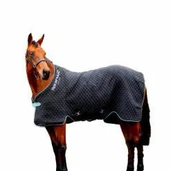 - Couverture séchante Autumn Cooler / aqua/ argent 50g Couvertures Poneys|Couvertures Et Chemises