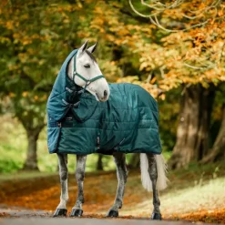 Couvertures Et Chemises*Horseware - Couvre-cou couure de box Amigo Ripstop Insulator dynasty green/ marine/ argent 100g Vert