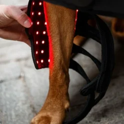 Discount - Guêtres thérapeutiques pour chien Lumière rouge LED Accessoires De Massages