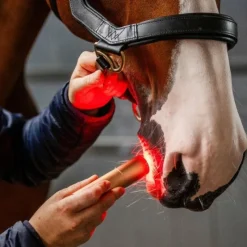 Accessoires De Massages*Horseware - Lampe thérapie lumière rouge LED Noir